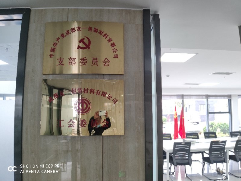 热烈祝贺918博天堂官方网站集团成都分公司党支部在2020年3月11日授牌成立，支部书记曹云(行政部经理)